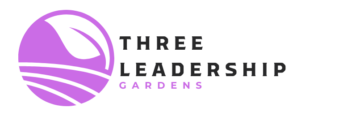 Three Leadership Gardens, A First Nations Framework by Mark Yettica-Paulson