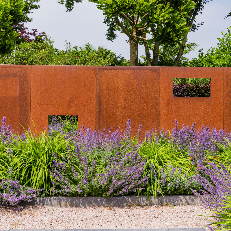 This image has a rust coloured wall with 2 square see through windows. There is a garden of green grass plants and purple lavender like flowers.